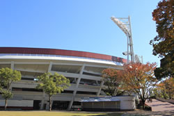 横浜スタジアムの写真
